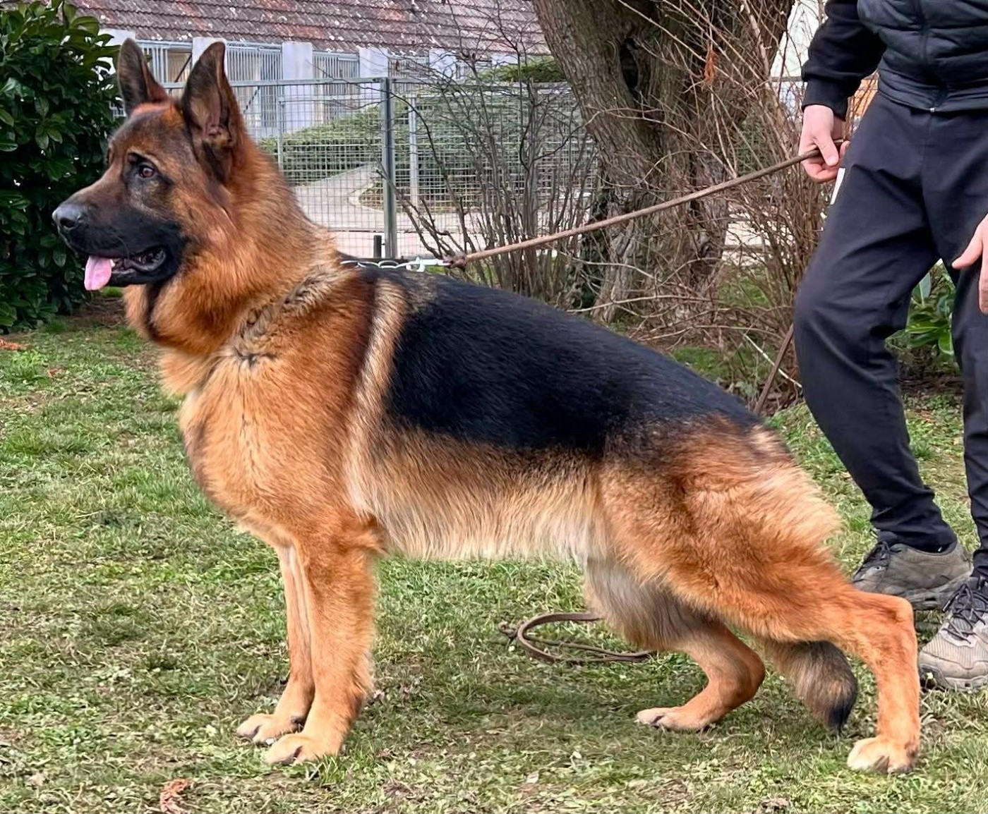 UDRO du domaine de sanctae crucis